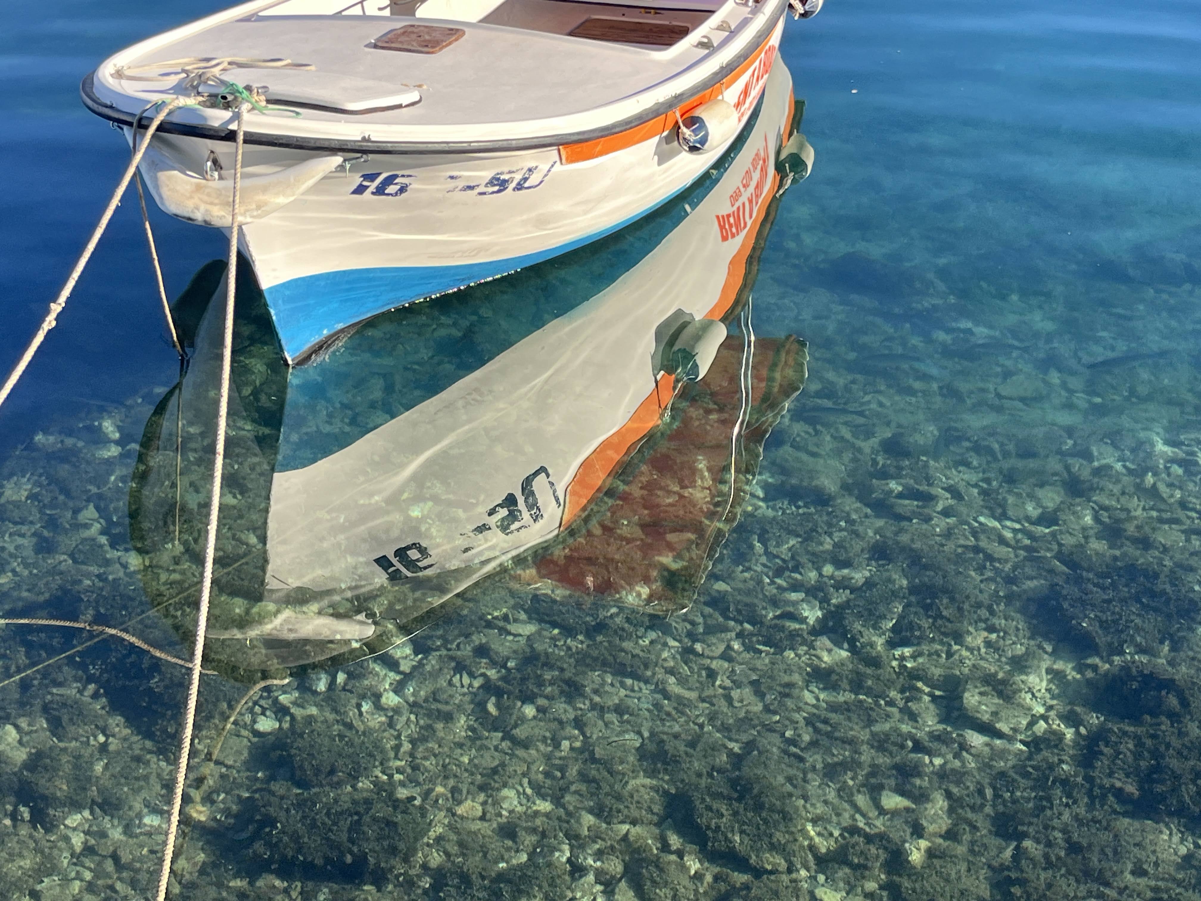 Split (the last one)