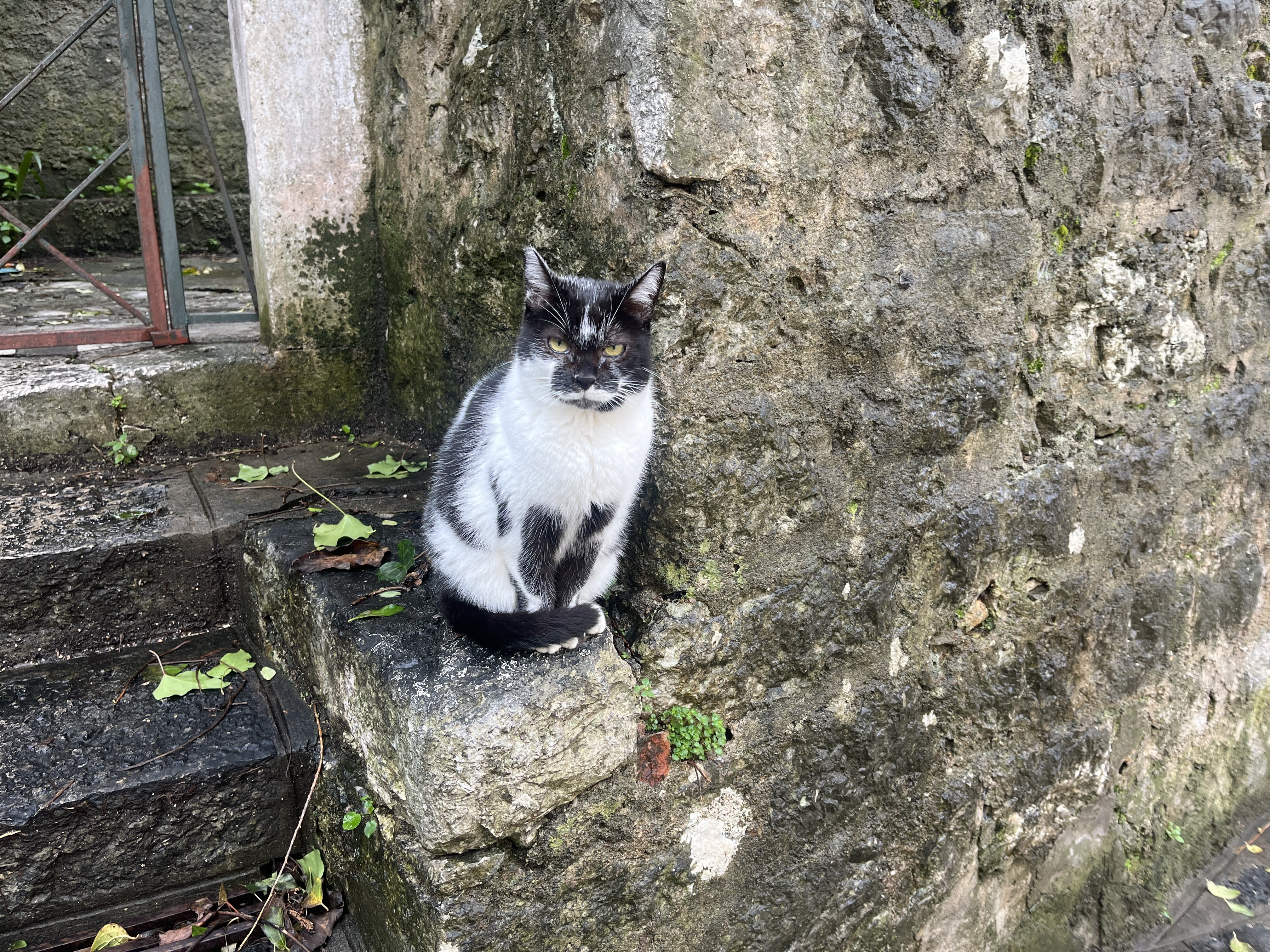 Herceg Novi Part 2